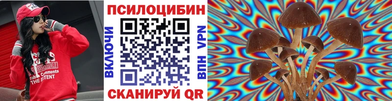 купить  сайты  Спасск-Рязанский  Псилоцибиновые грибы мицелий 